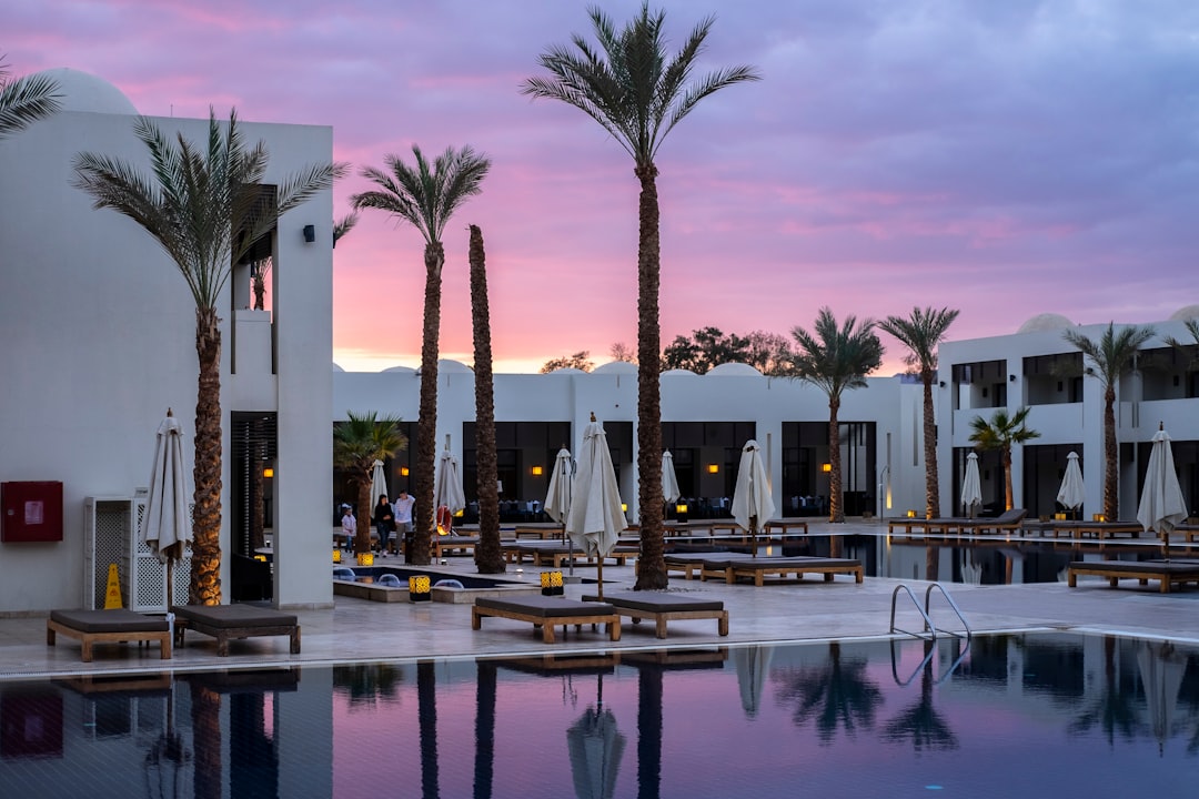 a large swimming pool surrounded by palm trees - Photo by Valeriia Bugaiova on Unsplash